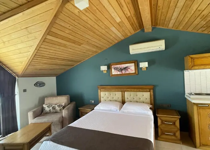 Veziroglu 4* داتْشا