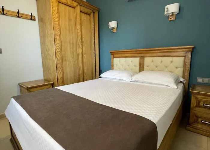 Veziroglu 4*