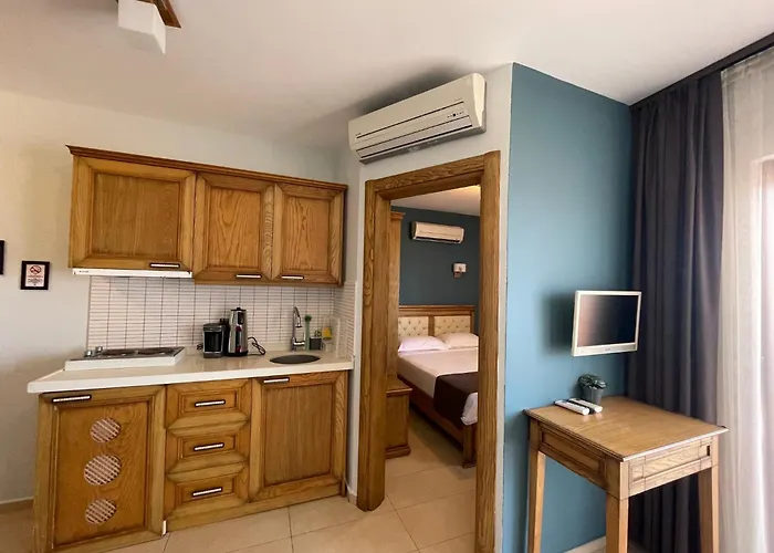 Veziroglu 4* داتْشا