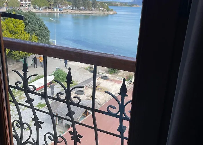 Veziroglu 4*