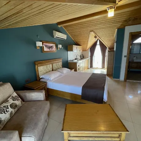 Veziroglu アパートホテル