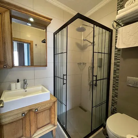 Veziroglu アパートホテル