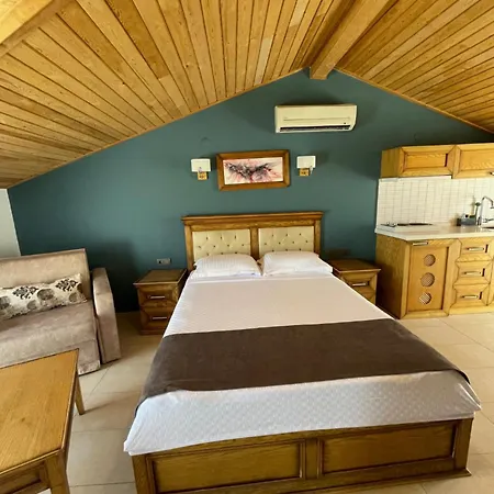 Veziroglu アパートホテル