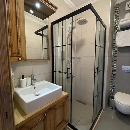 Veziroglu 4*