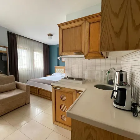 アパートホテル Veziroglu ダッチャ