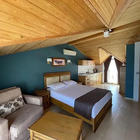 アパートホテル Veziroglu