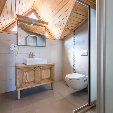 アパートホテル Veziroglu 4*